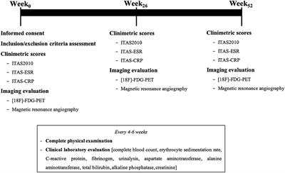 A Prospective Observational Study on the Efficacy and Safety of Infliximab-Biosimilar (CT-P13) in Patients With Takayasu Arteritis (TAKASIM)